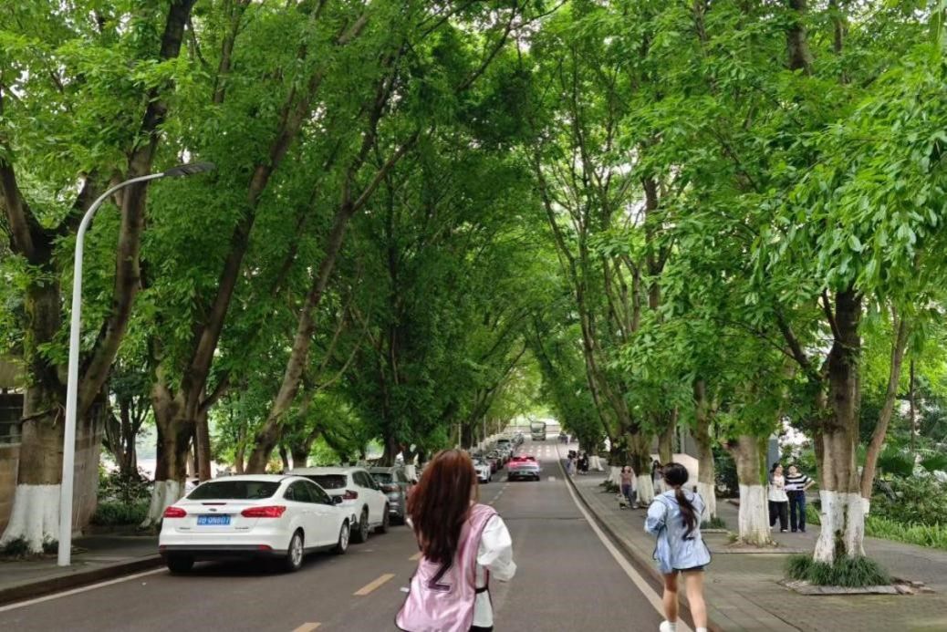 5月16日BB贝博艾弗森官方网站开展第十三届“筑梦启航”体育文化节定向越野竞赛圆满收官 原图2.jpg